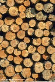 France, Région Provence Alpes Côted'Azur, les Alpes du Sud