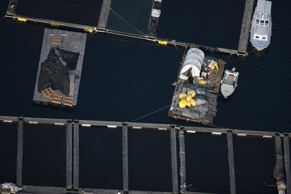 14 07 2012 - Kornati Islands archipelago (Croatia) - Otok Pasman Island