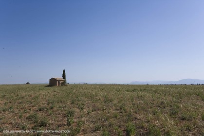 13 08 2007 - Valensole (04) - lavender fields on Valensole plateau