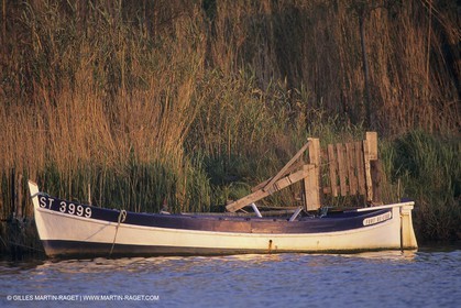 France, Provence, Camargue wildlife and landscapes