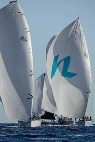VST21MAXiD3_1488.jpg