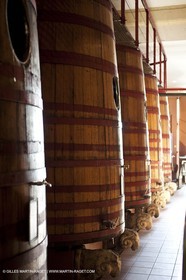 Saint Drézéry (FRA, 34), Domaine de Puech Haut