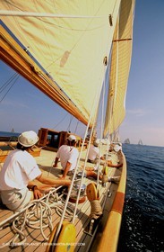 Cambria - Classic yachts