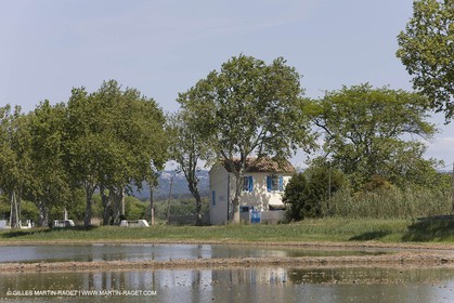 01 05 2008 - Arles (FRA,13) - Election de la Reine d'Arles