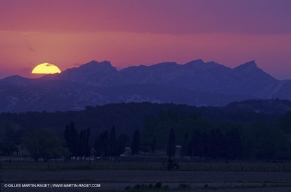 ALPILLES0012.jpg