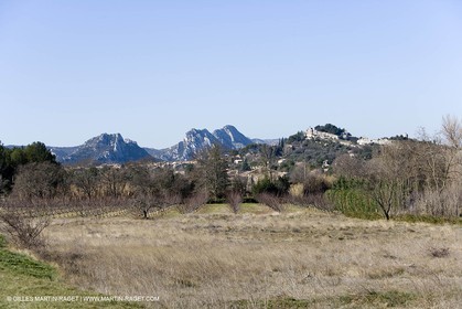 15 02 2007 - Provence - Les Alpilles