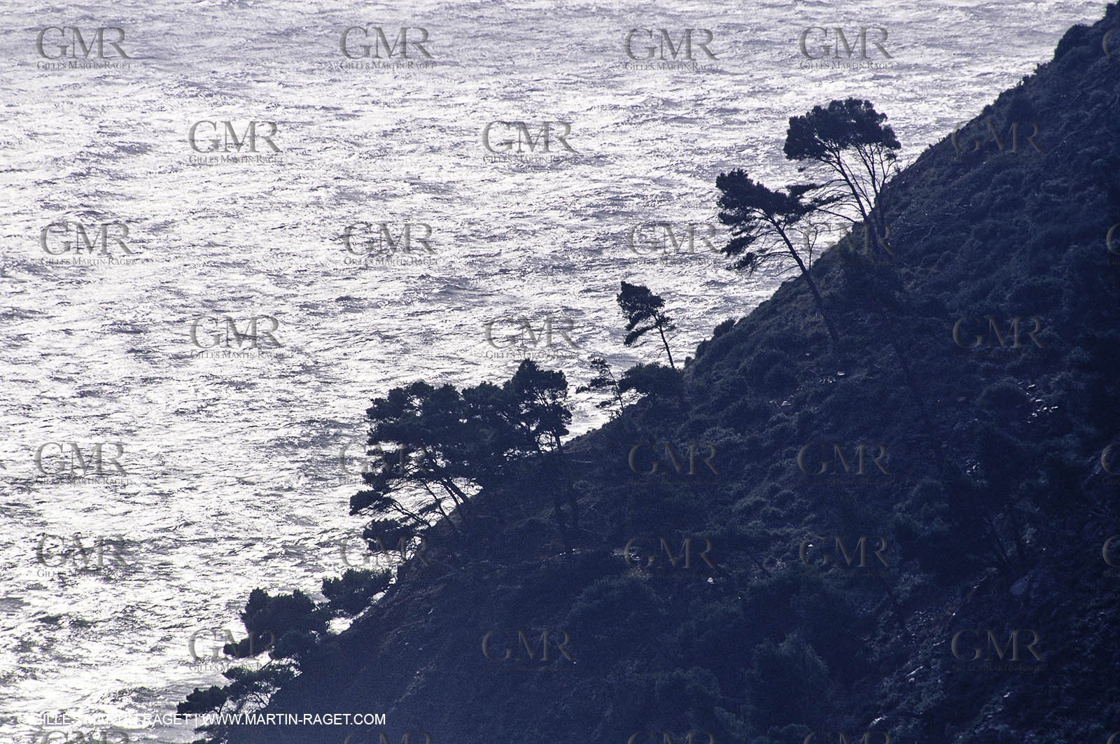 Sicié cape (Fra,83)