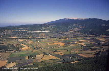lavander fields , 2005, plateau de sault