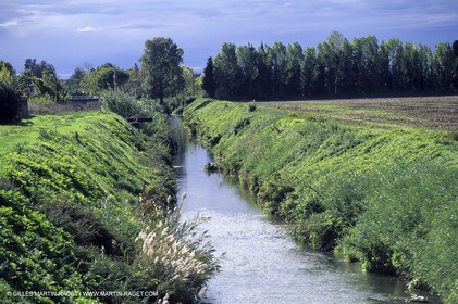 Caissargues