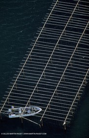 Conchyculture dans le Golfe de Fos