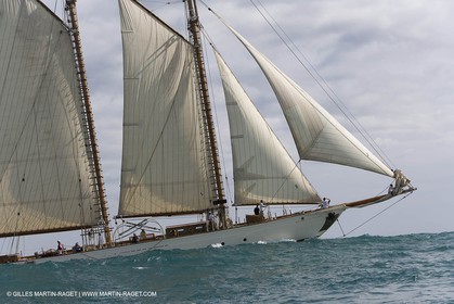YC9H4605.JPG