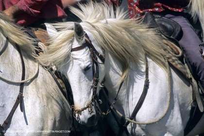 Camargue (FRA,13) - Gardians