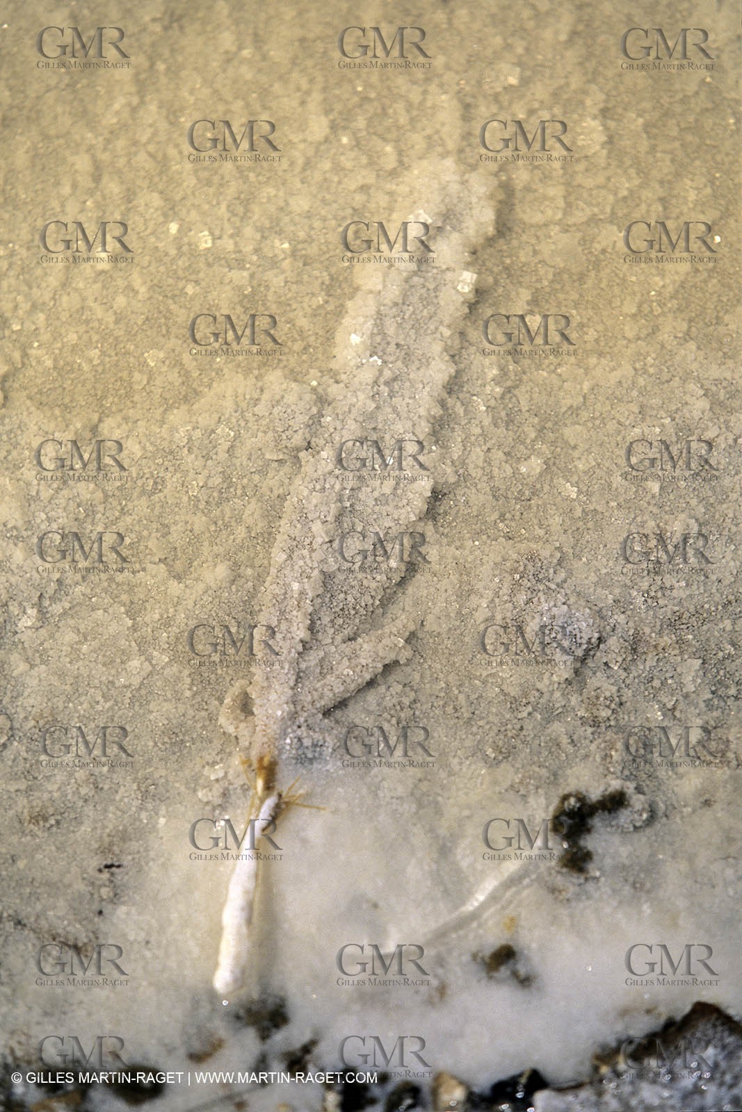 France, Provence, Marais salants, salted marshes, culture du sel, salt making, salt harvest