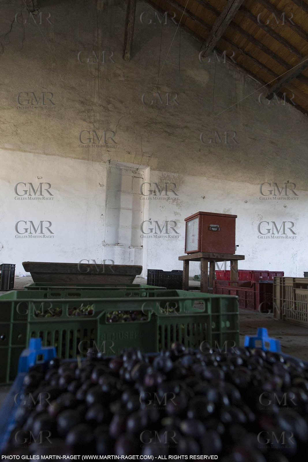 14 11 2015, Saint-Etienne du Grès (FRA,13), traditional making of olive oil at La Croix mill