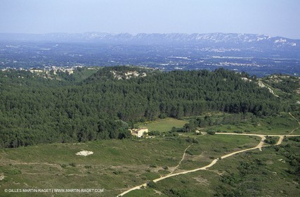 Alpilles et Montagnette