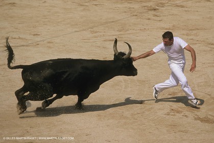 France, Provence, Course libre