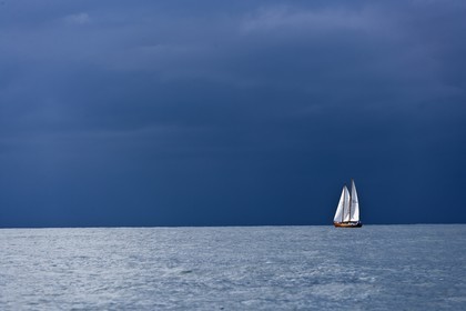 YC9H4347.JPG