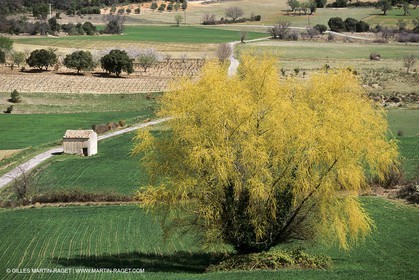 Luberon en hiver vers Saint Saturnin les Apts (FRA,84)
