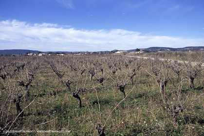 Clarensac