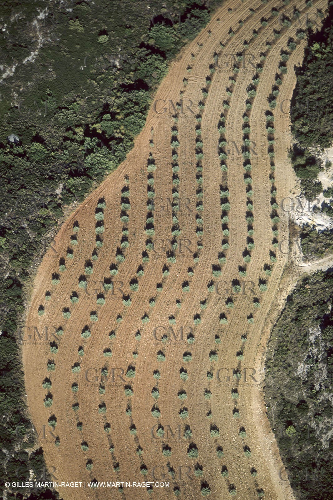 France, Provence, Etang de Berre