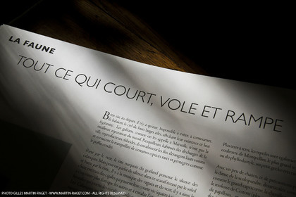 09 11 2010 - Marseille (FRA,13) - Photos du livre Calanques, si proches, si lointaines, Ed. Cres, Texte Juliette Lembot, Photos Gilles Martin-Raget