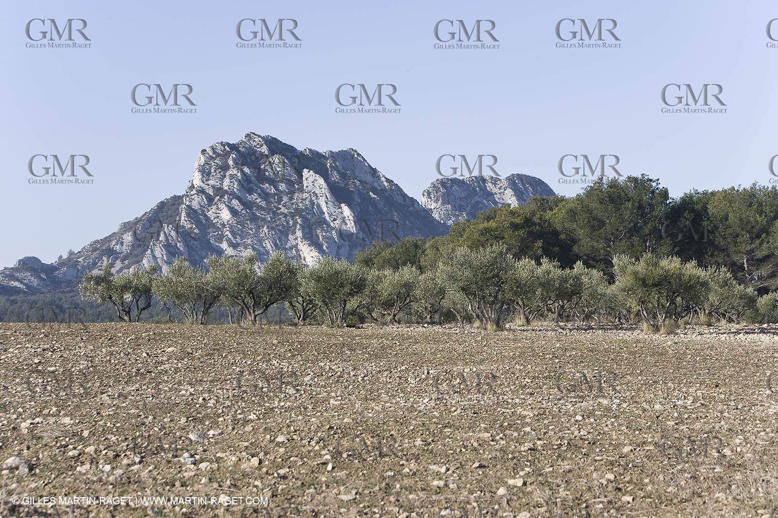 09 02 2008 - Les Baux de Provence (FRA, 13) - Alpilles hills landscapes