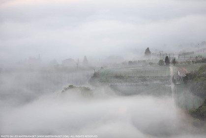 12 04 2016, Parc National du Luberon (FRA, 84)