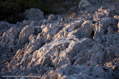 26 03 2009 - Marseille (FRA, 13) - Les Calanques- plateau de l'Homme Mort