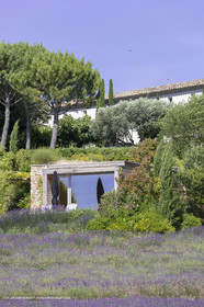 22 06 2018, Saint-Saturnin les Apts (FRA,84), Domaine des Andéols