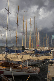 18VSTD2_6318.jpg