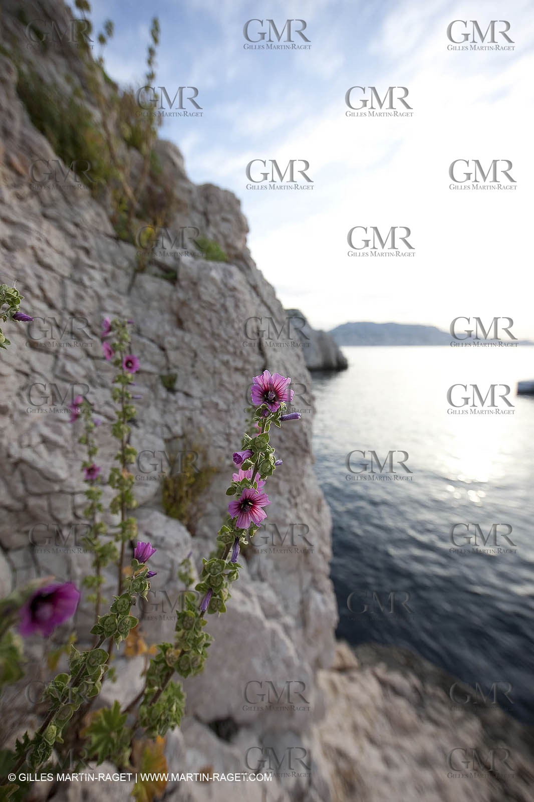 06 05 2009 - Marseille (FRA, 13) - Les Calanques - Plane Island