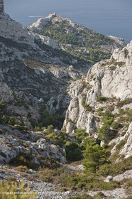 10 09 2009 - Marseille (FRA, 13) - Les Calanques - Massif de Marseilleveyre - Vallon de Mougranier - Vallon Saint Michel