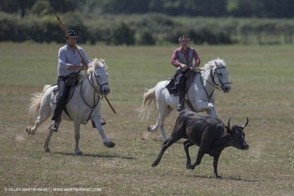Course de Satin 2014 - Arles (FRA,13) - 1 06 2014**The satin race - Arles (FRA,13) - 01 06 2014