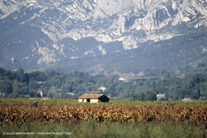 Aix en Provence area - Sainte Victoire mountain