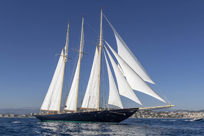 RRoyales18_5251.jpg