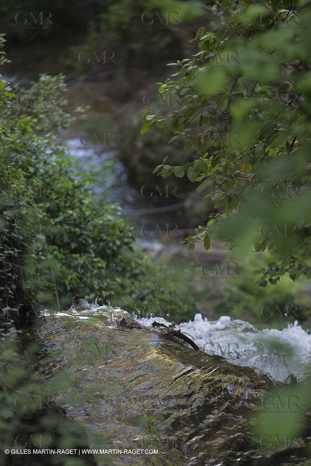 Domaine de la Baume - Tourtour (FRA,83) - 15 05 2014
