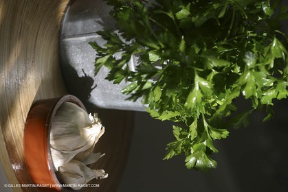 Cooking herbes from Provence - Garlic and Parsley