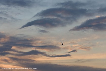 sky