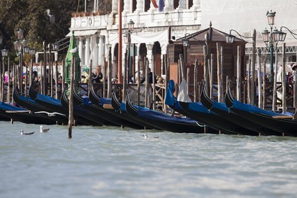 20 02 2012 - Venezia (ITA) - 34th America'sCup - Venezia 2012 America's Cup World Series -