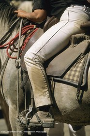 France, Provence, Gardians de Camargue