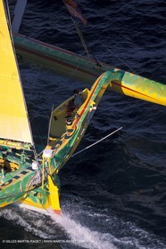 RhuMulti07.jpg