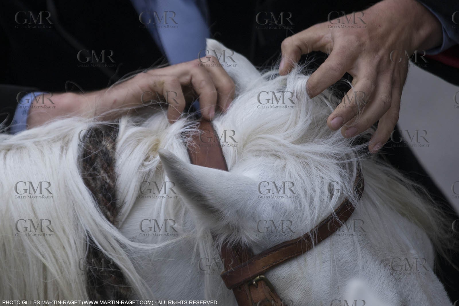 01 05 2015, Arles (FRA,13), Camargue Gardians Fest