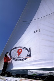 RhuMulti29.jpg
