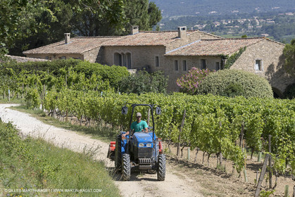 22 06 2018, Ménerbes (FRA,84), Domaine de la Citadelle