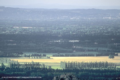 Plaine de Maillane