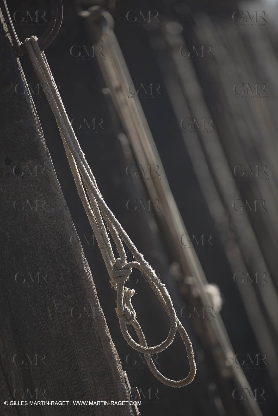 26 12 2013 - Les Saintes Maries de la Mer (FRA,13) - Horse riding at Cabanes de Cacharel