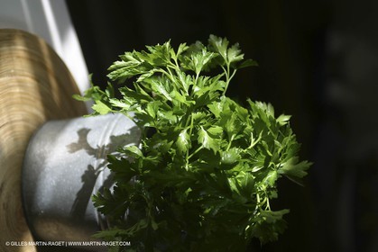 Herbes de Provence - ail et Persil