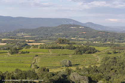 15 06 2018, Roussillon (FRA,84)