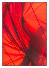 MAXI VOR SFS 2 - Genak Drop - color