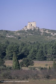 France, Provence, paysage des Alpilles, Alpilles landscapes